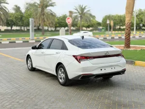 2023 Hyundai Elentra SEL