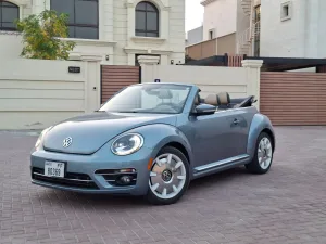 2019 Volkswagen Beetle Finial Edition SEL