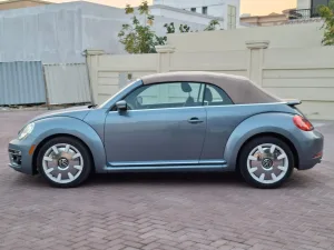 2019 Volkswagen Beetle Finial Edition SEL