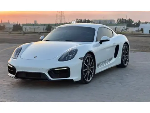 2014 Porsche Cayman S