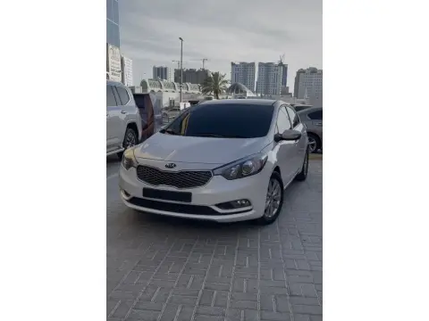 2013 كيا كي ٣ No Trim