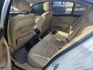 2015 BMW 5-Series 520i