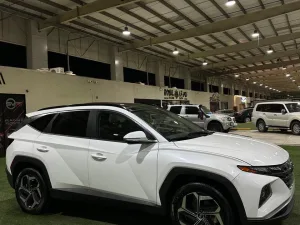 2022 Hyundai Tucson HyBird