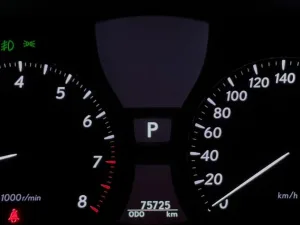2009 Lexus LS 460 No Trim