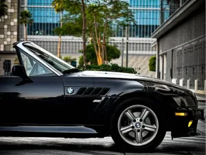 2003 BMW Z3 No Trim