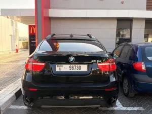 2010 BMW X6 35i