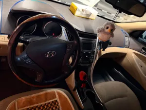 2016 Hyundai Sonata HyBird