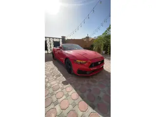 2020 Ford Mustang in Abu Dhabi used car