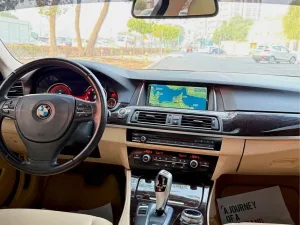 2015 BMW 5-Series 520i