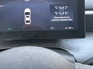 2025 بي واي دي سيل