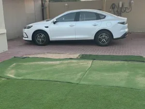 2025 بي واي دي سيل