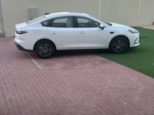 2025 بي واي دي سيل