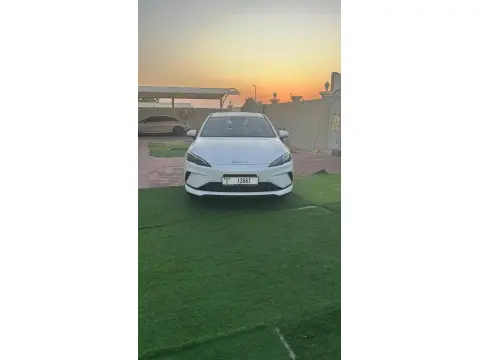 2025 بي واي دي سيل