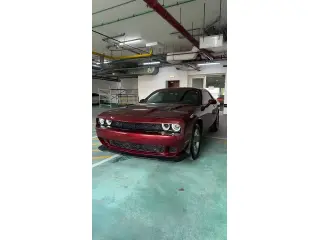 2021 Dodge Challenger in Dubai used car