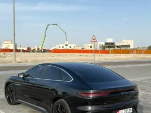 2025 بي واي دي هان No Trim