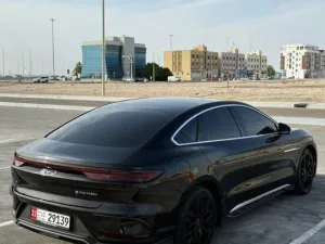 2025 بي واي دي هان No Trim