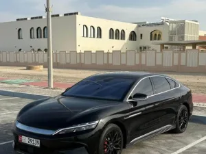 2025 بي واي دي هان No Trim