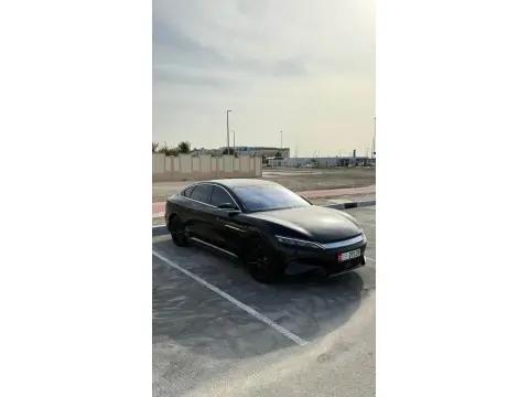 2025 بي واي دي هان No Trim