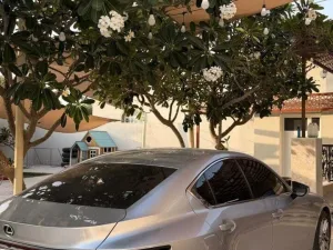 2023 Lexus IS IS 300