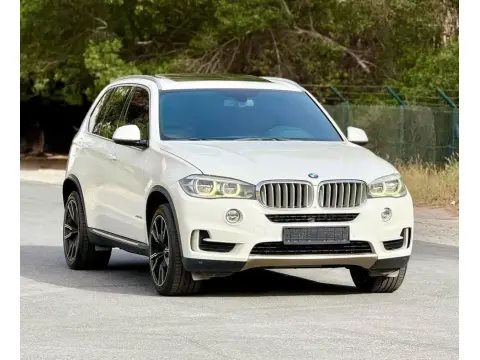 2013 BMW X5 sDrive35i