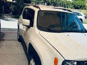 2019 جييب رينجيد Limited