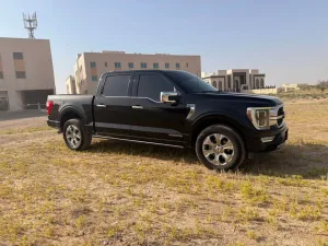 2021 Ford F150 Platinum