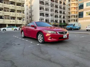 2010