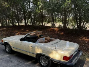 1980 مرسيدس-بنز اس ال SL350