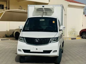2024 Victory V2 No Trim