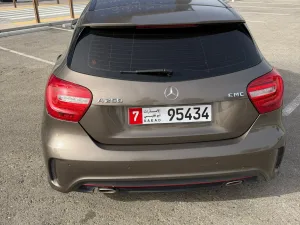 2014 Mercedes-Benz A-Class A250