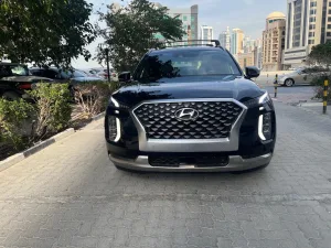 2020 Hyundai Palisade Calligraphy