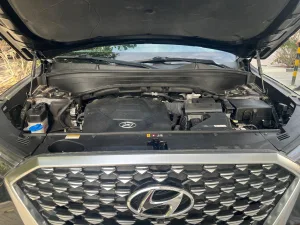 2020 Hyundai Palisade Calligraphy