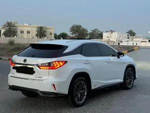 2019 لكزس ار آكس RX 450