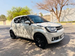 2017 Suzuki Ignis No Trim