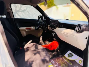 2017 Suzuki Ignis No Trim