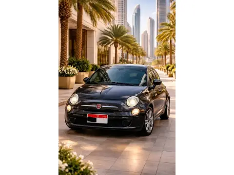 2014 Fiat 500C Lounge