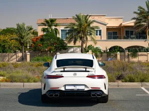 2021 Mercedes-Benz GT No Trim