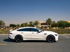 2021 Mercedes-Benz GT No Trim