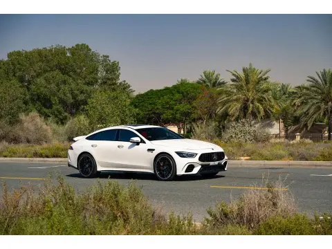 2021 Mercedes-Benz GT No Trim