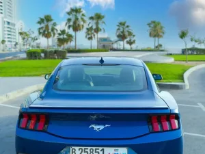 2024 Ford Mustang EcoBoost
