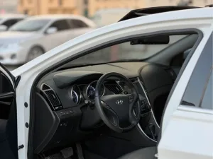 2011 Hyundai Sonata SE