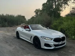 2019 BMW 8-Series M850i