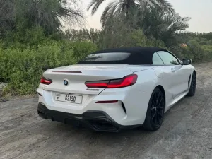 2019 BMW 8-Series M850i