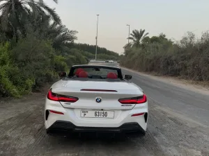 2019 BMW 8-Series M850i