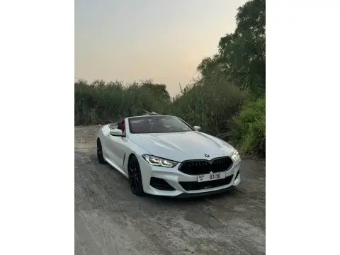 2019 BMW 8-Series M850i