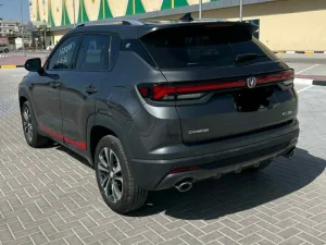 2025 تشانجن سي اس ٣٥ No Trim
