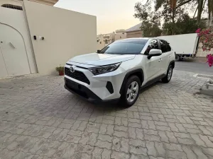 2020 Toyota Rav4 EX