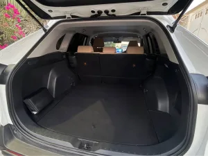 2020 Toyota Rav4 EX