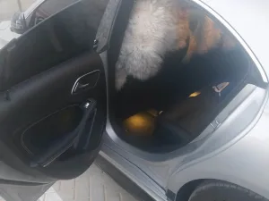 2018 Mercedes-Benz CLA CLA 250 4MATIC