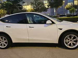 2024 Tesla Model Y Performance